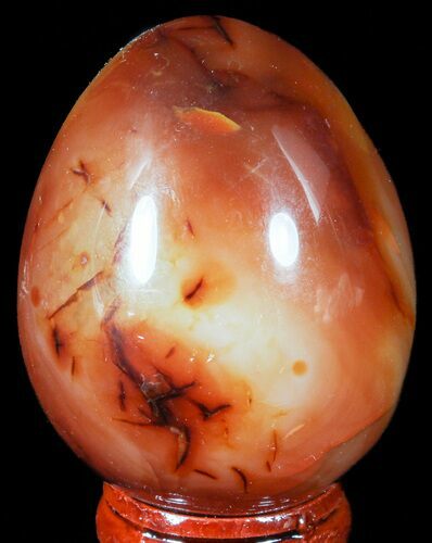 Colorful Carnelian Agate Egg #55532